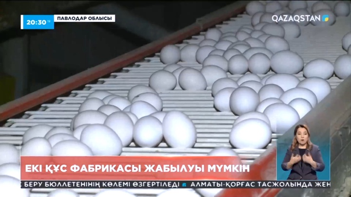 Павлодар облысында екі құс фабрикасы жабылуы мүмкін