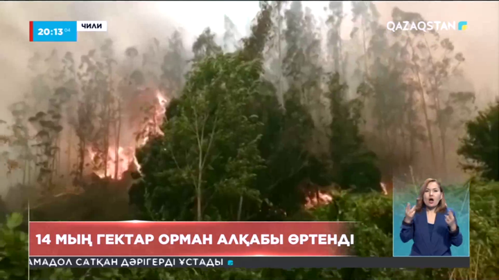 Чилиде 14 мың гектар орман алқабы өртенді