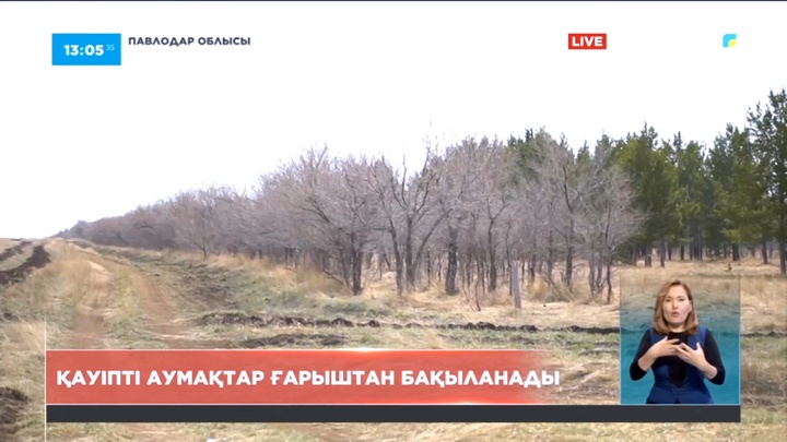 Павлодар облысында өрт шығады-ау деген дала алқаптары әуеден бақыланады