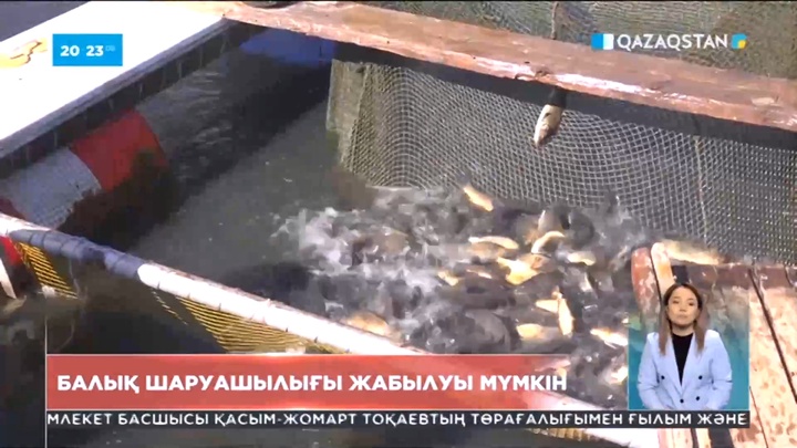 Павлодар облысындағы балық өсіретін жалғыз шаруашылық жабылып қалуы мүмкін