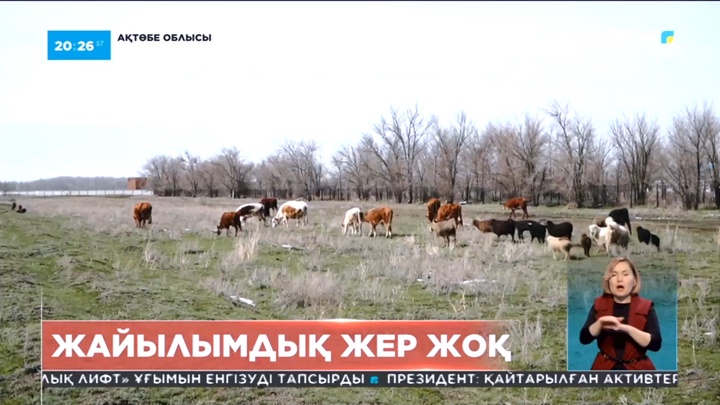 Ақтөбе облысында жайылымдық жер жоқ