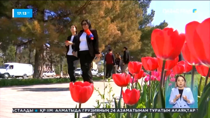 Шымкентте дәстүрлі гүлдер фестивалі өтті