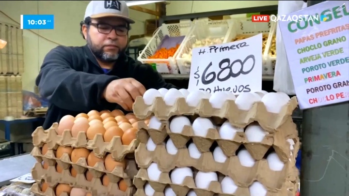 Чили фермаларында құс тұмауы өршіді