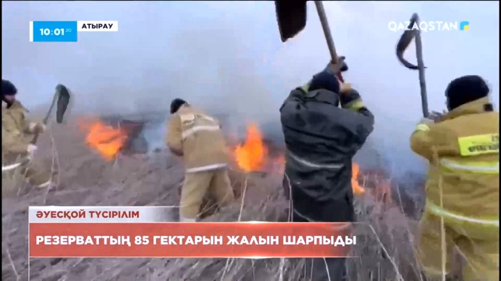 Атырау облысындағы резерваттың 85 гектарын жалын шарпыды