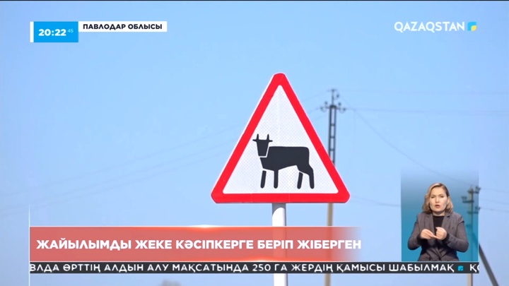 Павлодар облысы Ақсу қаласы әкімшілігі жайылымды жеке кәсіпкерге беріп жіберген