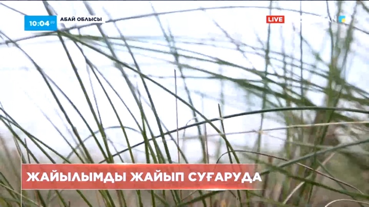 Абай облысында жайылым мен шабындық жерлерге жайып суғару әдісі қолданыла бастады