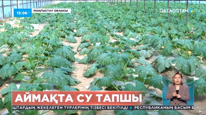 Маңғыстауда ауыл шаруашылығын дамытуға су тапшы