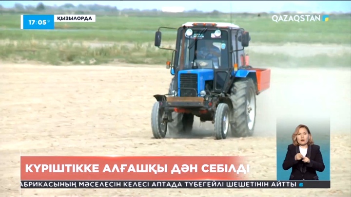 Қызылорда облысында күріш егу науқаны басталды