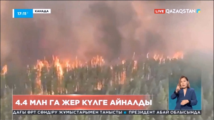 Канададағы орман өрті: 4,4 млн га жер күлге айналды