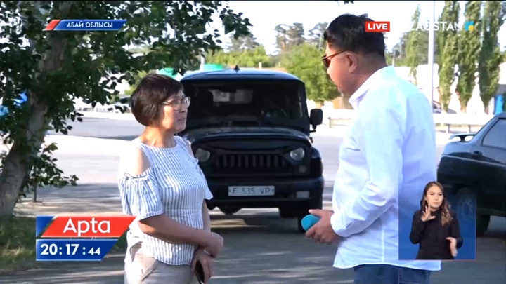 Экологтар: Абай облысындағы орманды қалпына келтіруге 50 жыл қажет