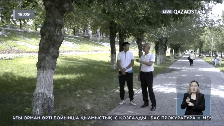 Орманды қалпына келтіру үшін жарты ғасырға жуық уақыт керек – экологтар