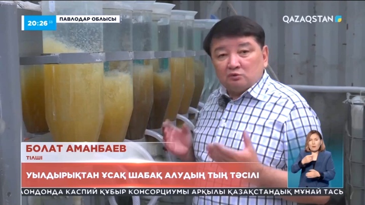 Павлодарлық балық өсірушілер уылдырықтан ұсақ шабақ өсірудің тың биотехникасын ойлап тапты