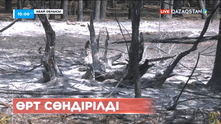 Абай облысындағы өрт оқшауланды: Тұрғындар бүгін үйлеріне қайтарылады