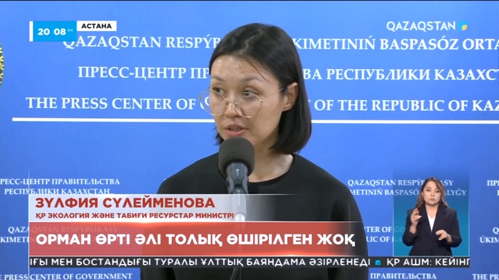 Абай облысындағы орман өртін толық өшіруге бір айдай уақыт қажет - Экология министрі