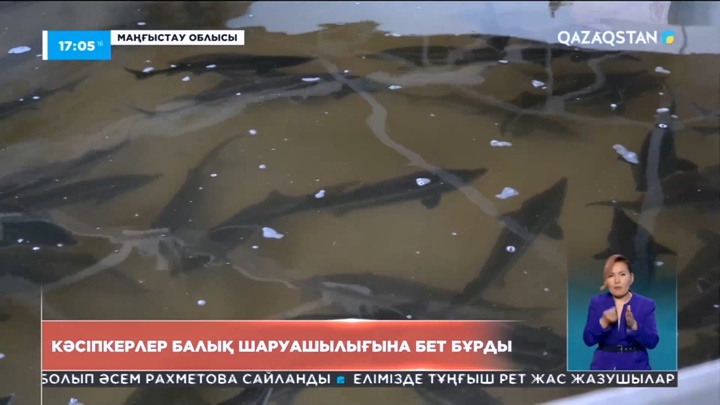 Маңғыстауда кәсіпкерлер балық шаруашылығына бет бұрды