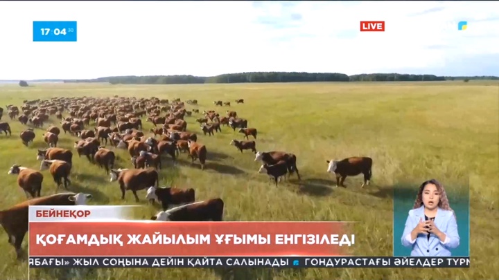 Жайылым мәселесіне қатысты ауыл әкімдерінің құзыреті кеңеюі мүмкін