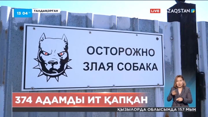 Жетісу облысында жыл басынан 374 адамды ит қапқан