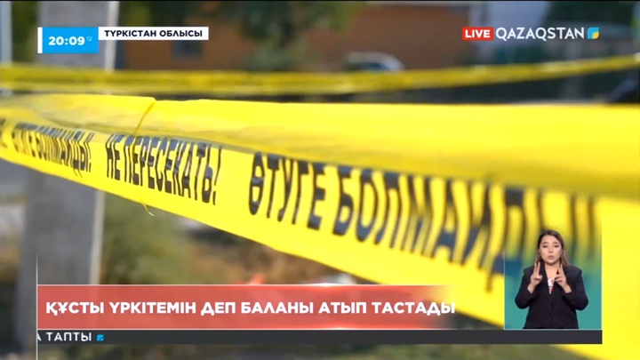 Түркістан облысында жұмысшы құсты үркітемін деп баланы атып алды