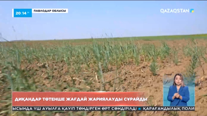 Павлодар облысындағы диқандар төтенше жағдай жариялауды сұрайды