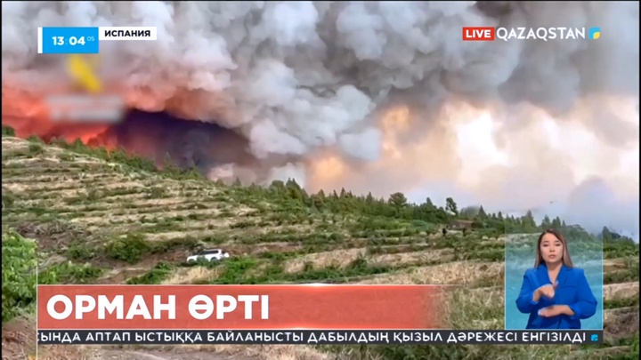 Испанияның Пальма аралында алапат орман өрті тұтанды