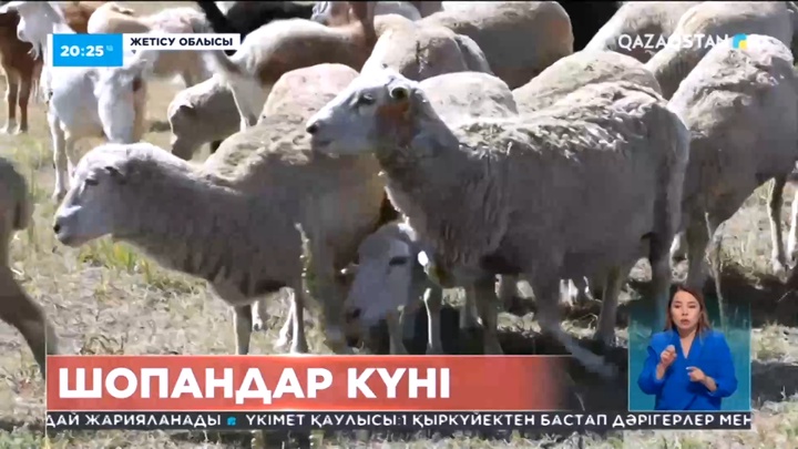 Жетісу облысының малшылар қауымы шопандар күнін атап өтті