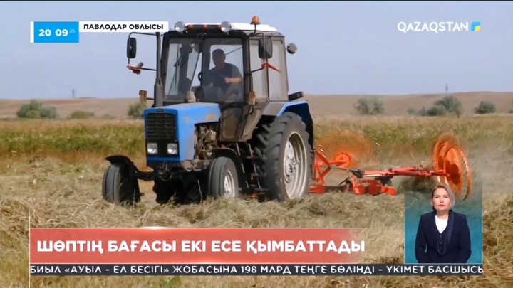 Павлодар облысында шөптің бағасы екі есе қымбаттады