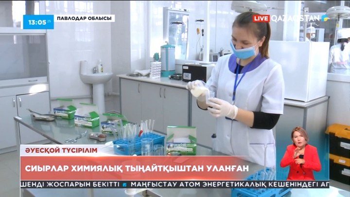 Павлодар облысында 40-қа тарта ірі қараның неліктен қырылғаны анықталды