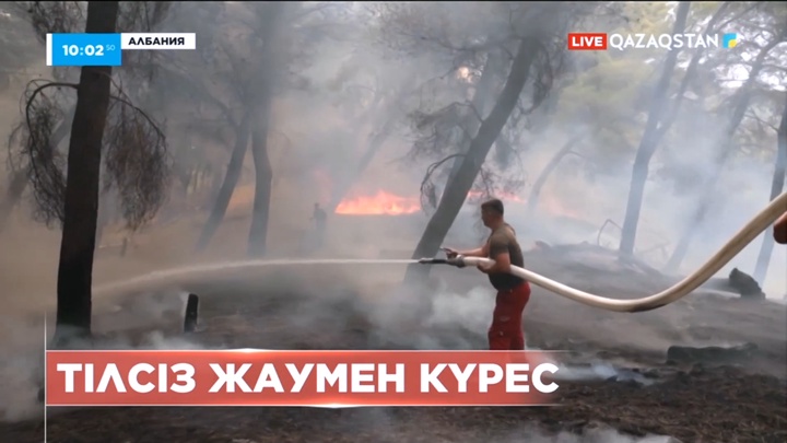 Албанияның оңтүстігінде алапат орман өрті басталды