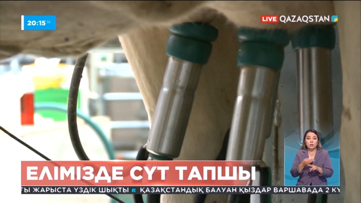 Қазақстан импортталған сүтке тәуелді болып барады - фермерлер одағы