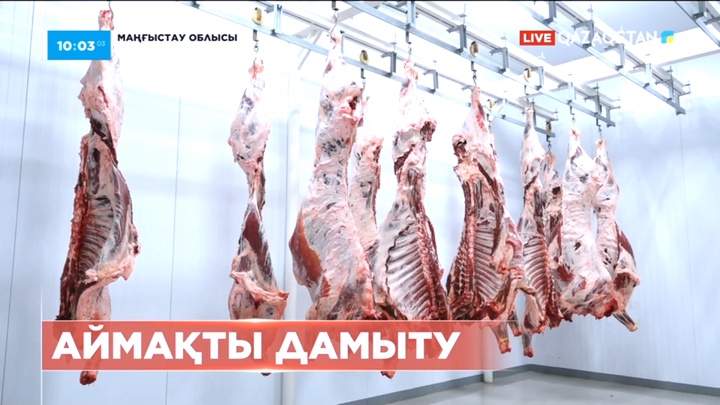 «Amanat» партиясы Маңғыстау облысында жыл сайын кемі 15 инвестициялық жобаны жүзеге асырмақ