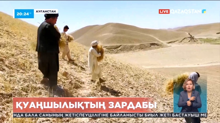 Ауғанстанда ұзаққа созылған қуаңшылықтан дағдарыс күшейіп келеді