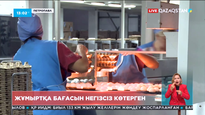 Солтүстік Қазақстанда жұмыртқа бағасын қымбаттатқан 2 құс фабрикасына айыппұл салынды