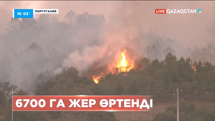 Португалияның оңтүстігінде орман өрті қаулады