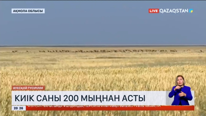 Ақмола облысында киік саны 200 мыңнан асты