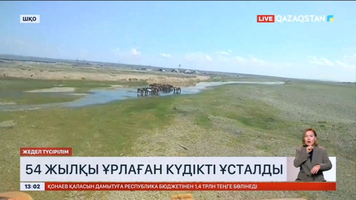 Шығыс Қазақстанда 54 жылқы ұрлаған күдікті ұсталды
