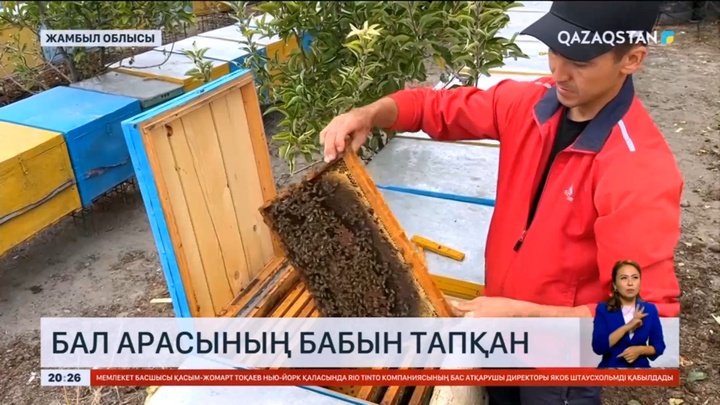 Жамбылдық жас омарташы жылына 7 мың келіге жуық бал өндіреді