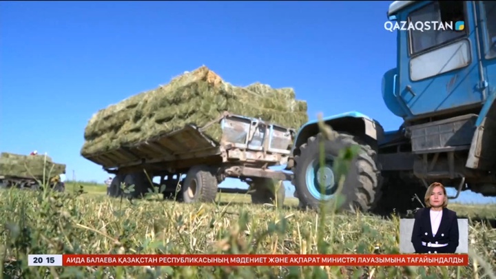 Биыл Қызылорда облысында «Ауыл аманаты» бағдарламасына 3 млрд теңге қаржы қаралған