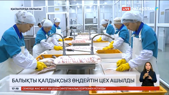 Қызылорда облысында балықты қалдықсыз өңдейтін цех ашылды