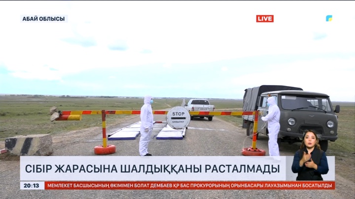 Абай облысында тұрғынның сібір жарасына шалдыққандығы расталмады