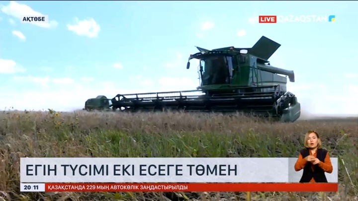 Ақтөбе облысының Мәртөк ауданында егін түсімі еке есеге төмен