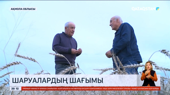 Биыл Ақмола облысында егін түсімі жылдағыдан екі есе төмен