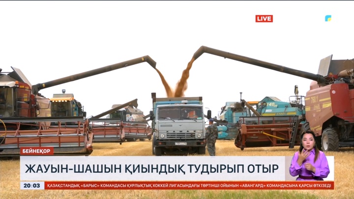 Теріскейдегі диқандар үшін биылғы егін орағы барысында қиындықтар туындап отыр