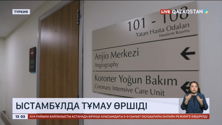 Стамбұлда тұмау өршіді