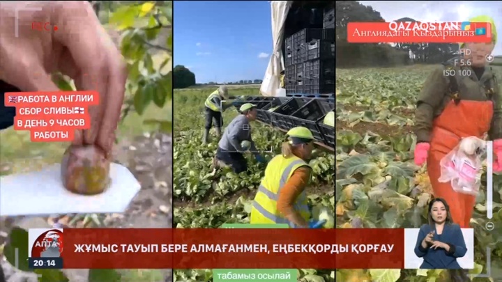 Әлеуметтанушы: Шетелде заңсыз жұмыс істеу – елдегі әлеуметтік-экономикалық ахуалдың индикаторы