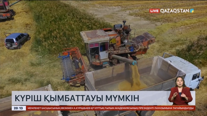 Елімізде күріш бағасы тағы қымбаттауы мүмкін