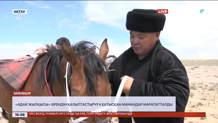 Ақтауда «Адай жылқысы» брендін қалыптастыруға қатысқан мамандар марапатталды