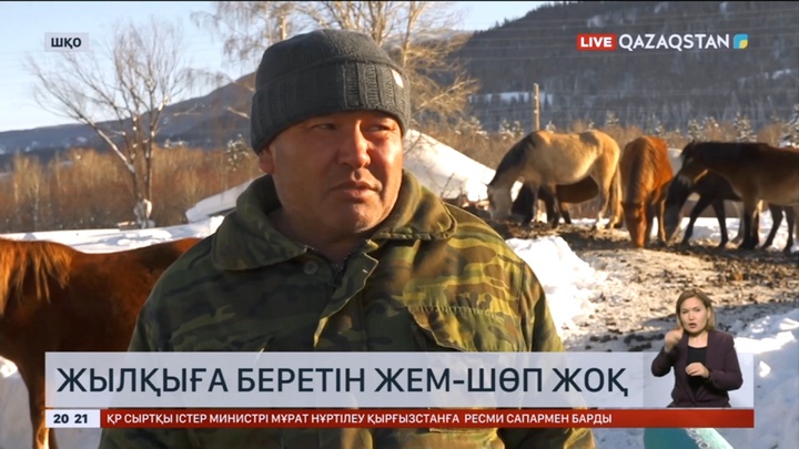 Марқакөл ауданындағы бірнеше ауыл тебіндегі жылқысын әлі етекке түсіре алмай отыр
