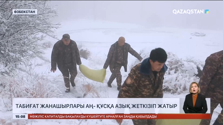 Өзбекстанда табиғат жанашырлары аң-құсқа азық жеткізіп жатыр
