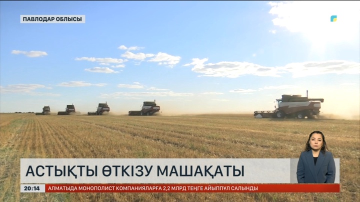 Павлодарда егін орағы аяқталуға жақын