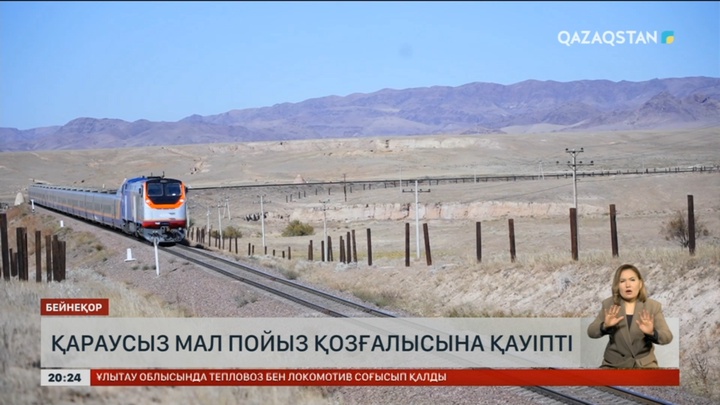 Темір жолдың бойында қараусыз жүрген үй жануарлары пойыз қозғалысына қауіп төндіріп тұр